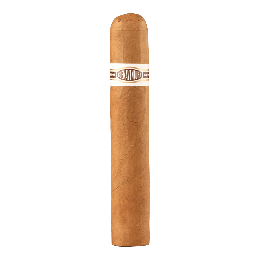 C200 Robusto, , cigars